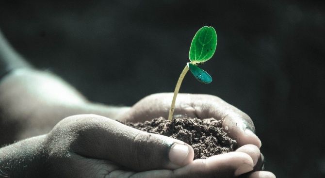 Световният ден на почвата  e