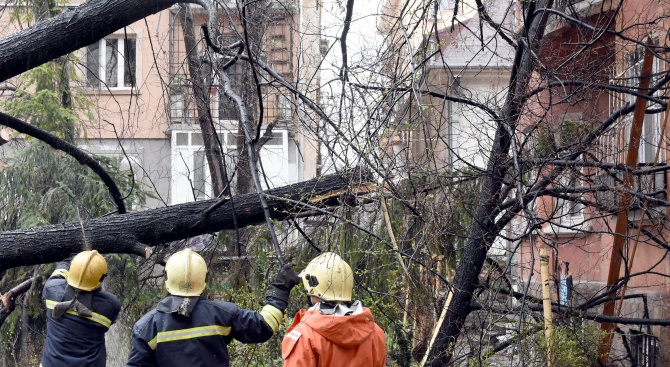 Силният вятър изпочупи клони в София