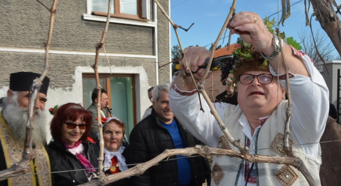 Зарязаха лозите на Трифоновден по нов стил в димитровградското село