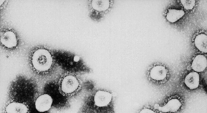 Отхвърлени са съмненията за зараза с новия коронавирус за двама