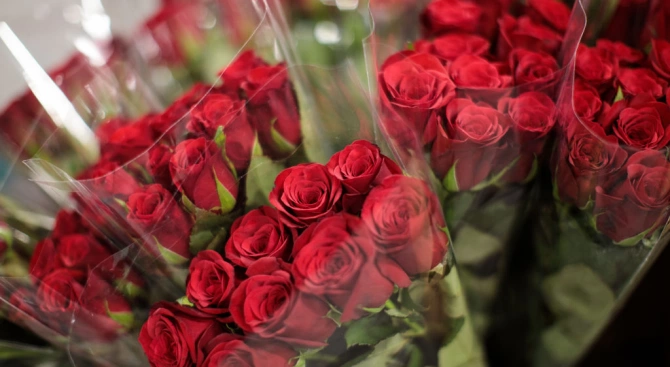 Производителите на цветя в Турция са изнесли 60 милиона рози