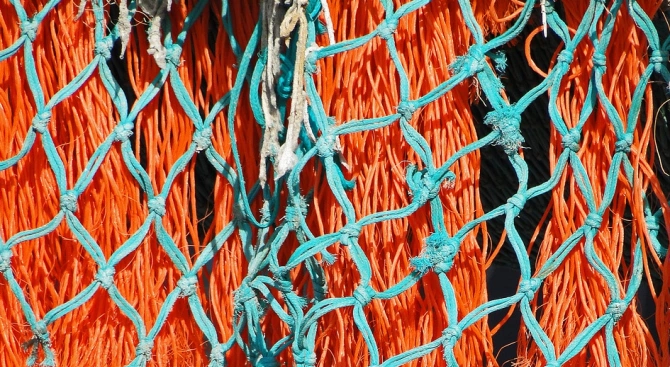 Над 50 кг риба е освободена от бракониерски мрежи в