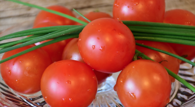 БАБХ с проверка за зараза по доматите 