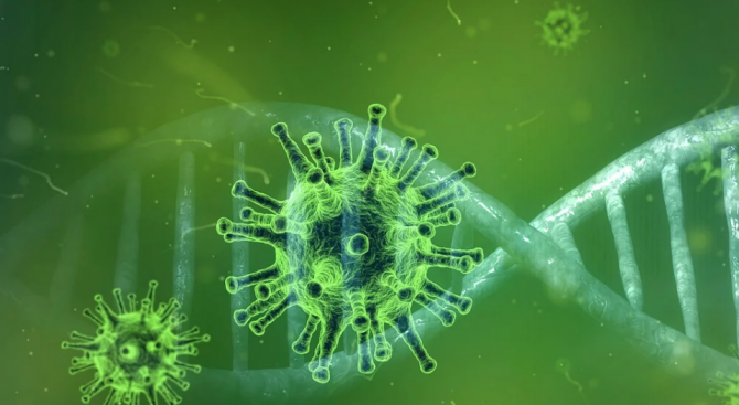 В ОАЕ регистрираха два нови случая на коронавирус