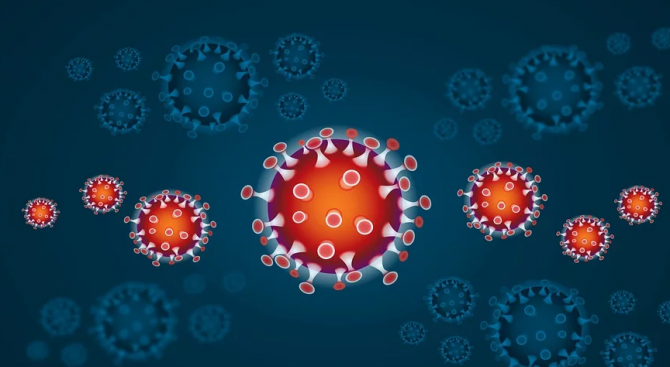 Белгия потвърди за още 59 заразени с коронавируса за последното денонощие 