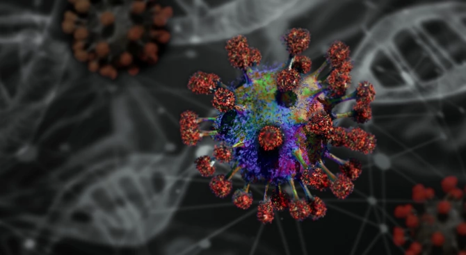 Китайски изследователи откриха два подтипа на новия коронавирус които са