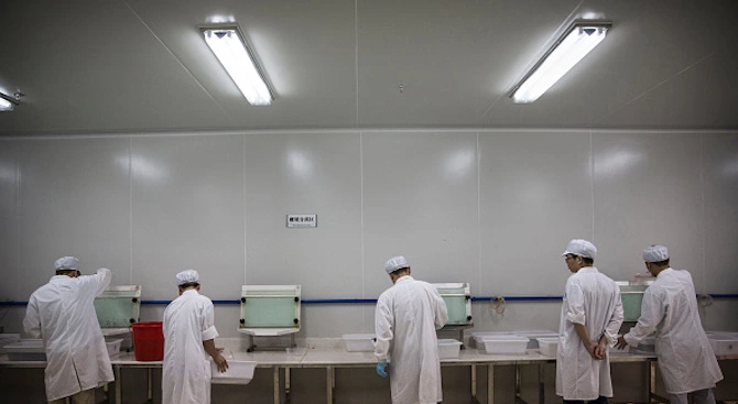 Китайски епидемиолози изпробват на животни шест вида ваксини от новия