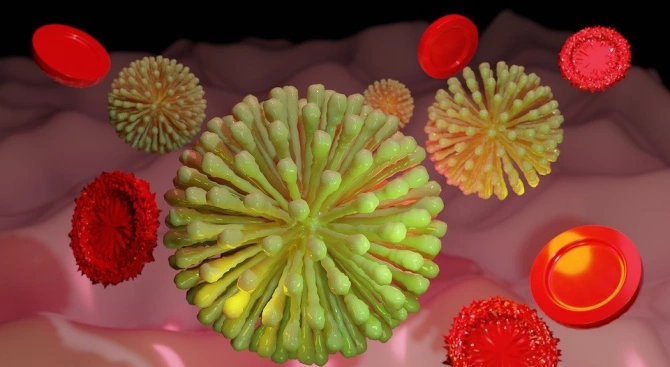 Австралийски учени картографираха имунната реакция към новия коронавирус на един
