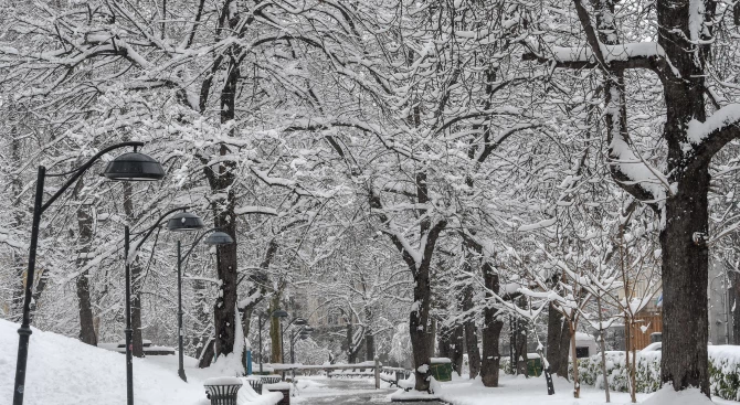Сняг вали обилно в Монтанско от денонощие В общините Берковица
