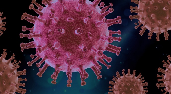 Броят на заразените с новия коронавирус за едно денонощие в
