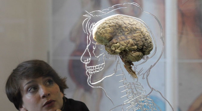 Учени: COVID-19 може да причини некроза на мозъка