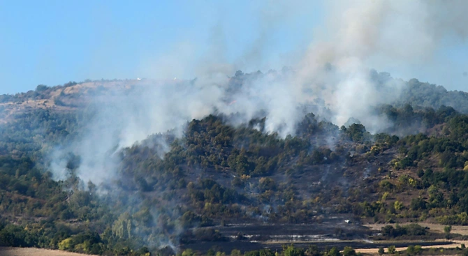 Пожар е възникнал на съпределната територия между България и Сърбия