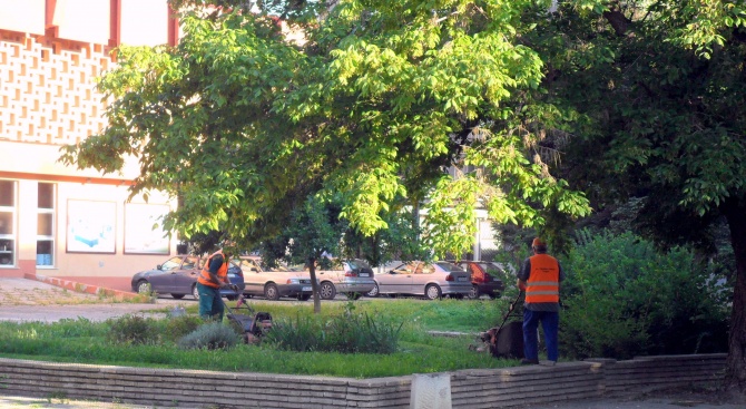 Близо 200 работници на "Градини и паркове" участват в косенето на тревата в Пловдив