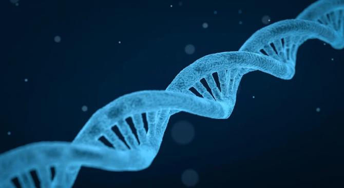 Учени създадоха преносимо устройство за ДНК тестове
