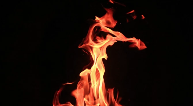 Две плевни са изгорели при пожар в село Дренково в