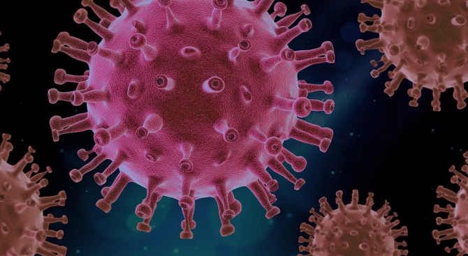 Трети  ден без нови случаи на коронавирус в Черна гора