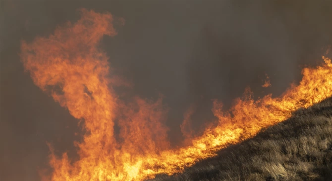 По данни от тази сутрин пожарите в горите из украинската