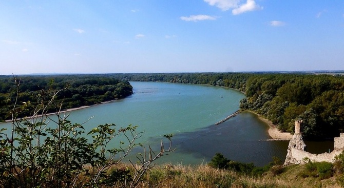  Забраниха къпането по цялото поречие на река Дунав в област Видин 