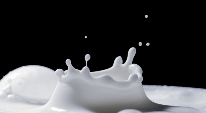 Изкупвачите на мляко кандидатстват вече и по електронен път 