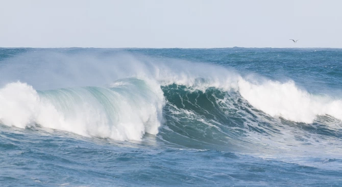 Петима сърфисти се удавиха в бурно море край бреговете на