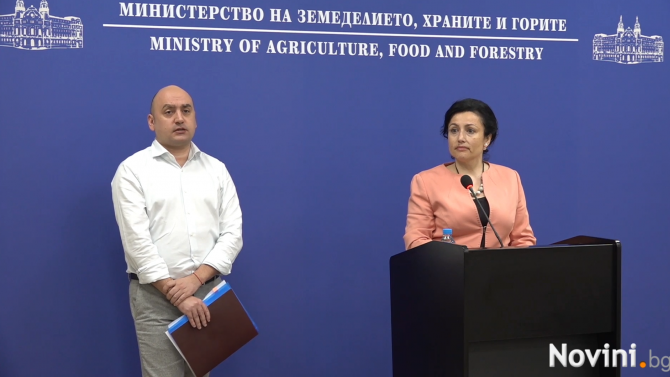 Десислава Танева: Никога проверките у нас не са били толкова завишени, колкото сега