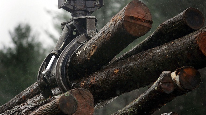 Китай иска Канада да разследва износ на дървесина