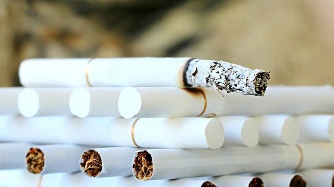 20 000 къса контрабандни цигари са иззети при специализирана операция