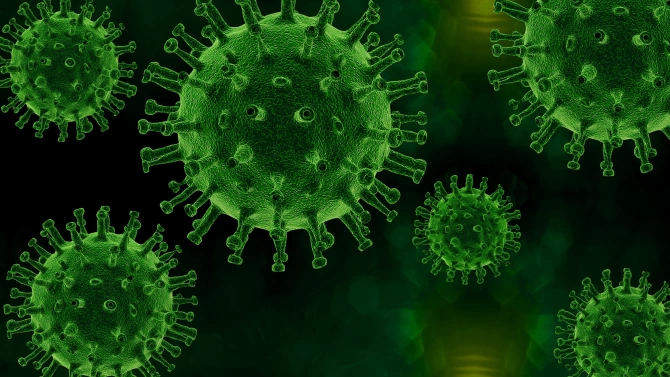 Дванайсет души с коронавирусна инфекция са починали в Испания през