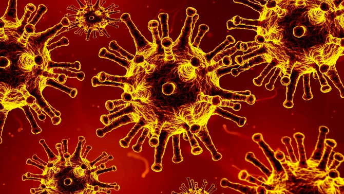 Общо 111 души са излекувани от коронавирусна инфекция в област