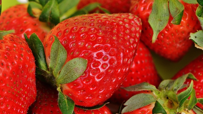 По-ниски добиви от ягоди отчитат стопаните от Търговищко през тази
