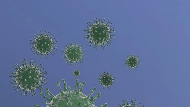 Спад на заболеваемостта от коронавирус има в община Сливен съобщиха