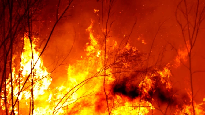 Голям горски пожар край село Дълбоки Стара Загора Горят стотици