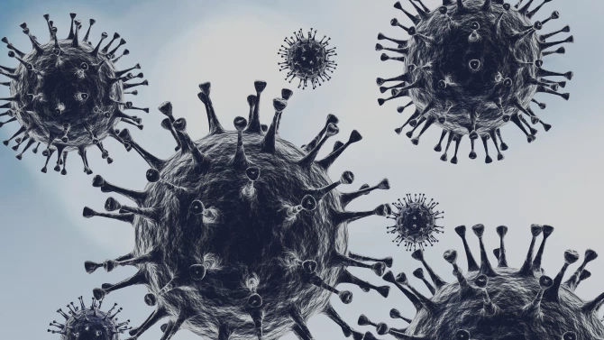 194 са новодиагностицираните с коронавирусна инфекция лица през изминалите 24