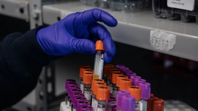 Три нови случая на коронавирус са регистрирани в Ямболска област