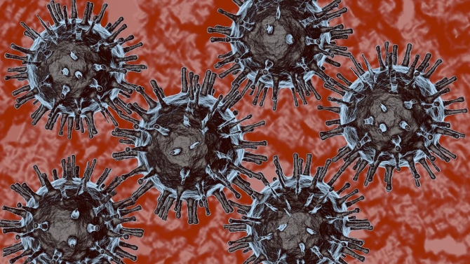 Новите случаи на коронавирус в област Смолян от началото на