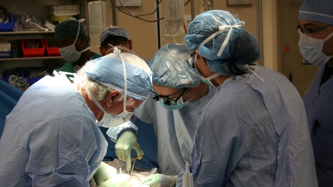 Двама българи получиха шанс за втори живот след успешни трансплантации