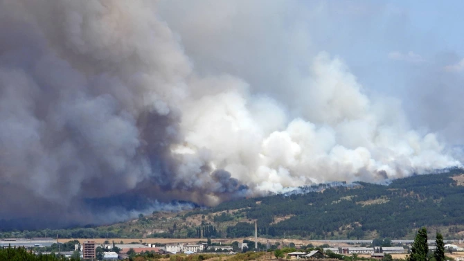 Магистрала Марица е затворена заради пожара в борова гора който