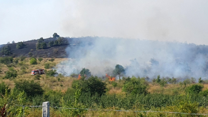 Прокуратурата в Свиленград разследва пожар в лозов масив