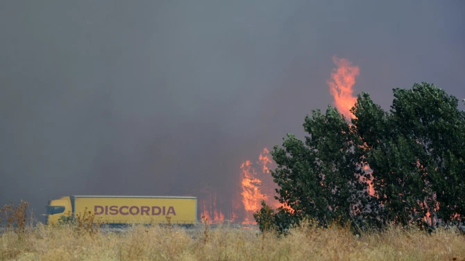 Големи горски пожари все още бушуват на много места в