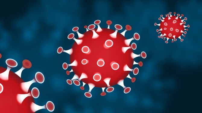 Над 22 милиона са заразените по света с новия коронавирус 