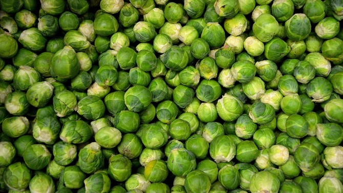 Австралийски учени установиха че кръстоцветните зеленчуци броколи брюкселско и