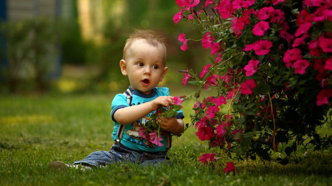 Учени: Израстването в озеленена среда увеличава интелигентността на децата