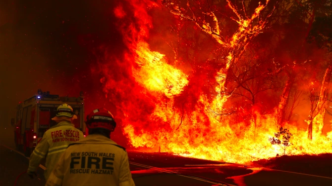 Горските пожари връхлетели Австралия през 2019 и 2020 г със