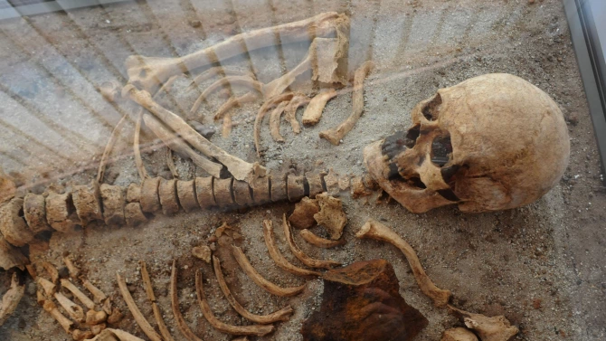 Човешки скелет отпреди 8500 години бе открит в двора на