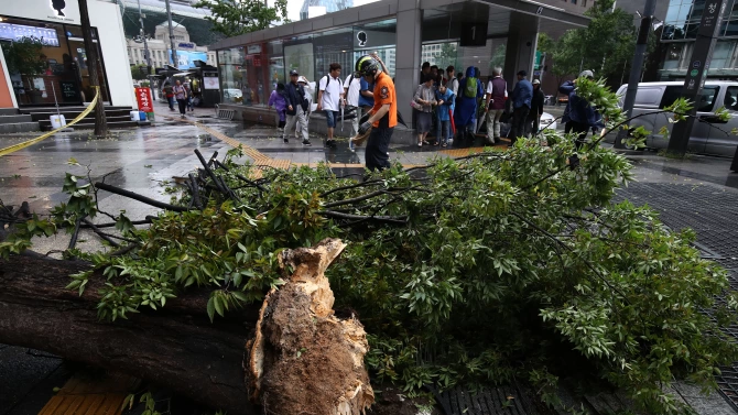 Тайфунът Бави който бушува на Корейския полуостров повреди днес жилищни