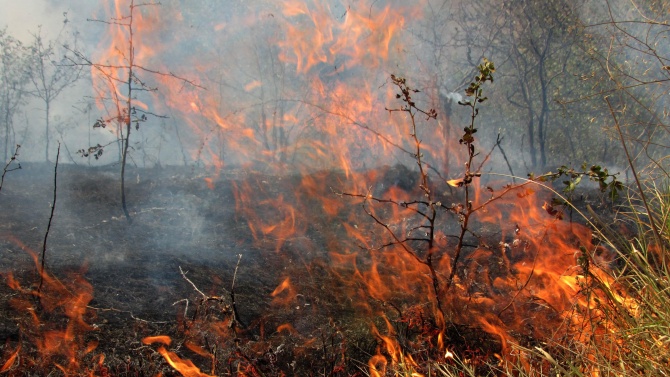  Пожар гори край първомайското село Искра 