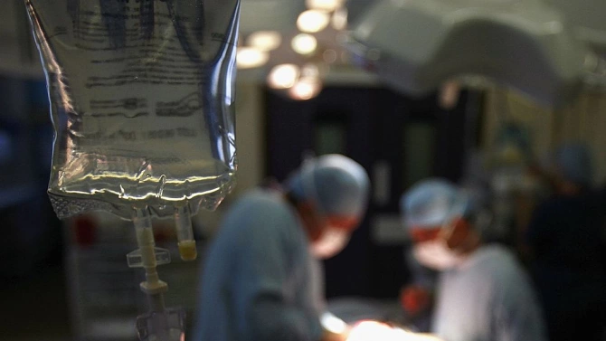 Лекари от болница в Русия извадиха еднометрова змия от гърлото