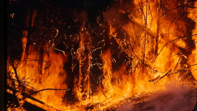 Пожарът пламнал в района на старозагорското село Остра могила вчера по обед