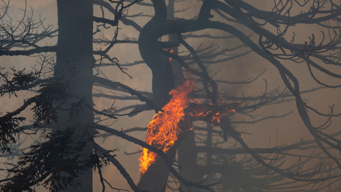 Американският щат Орегон се готви за голям брой жертви на горските пожари