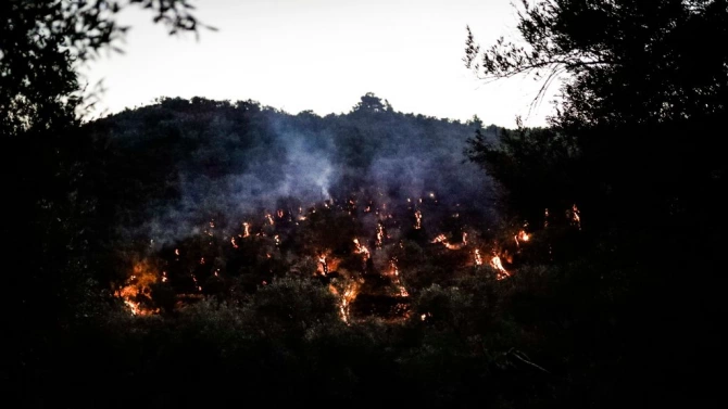 Пожари избухна в бежанския лагер Мория на гръцкия остров Лесбос
